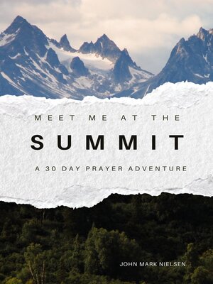 cover image of Meet Me at the Summit